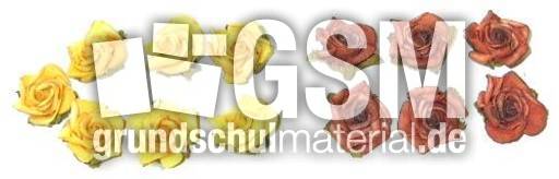 Blumen7+6.jpg